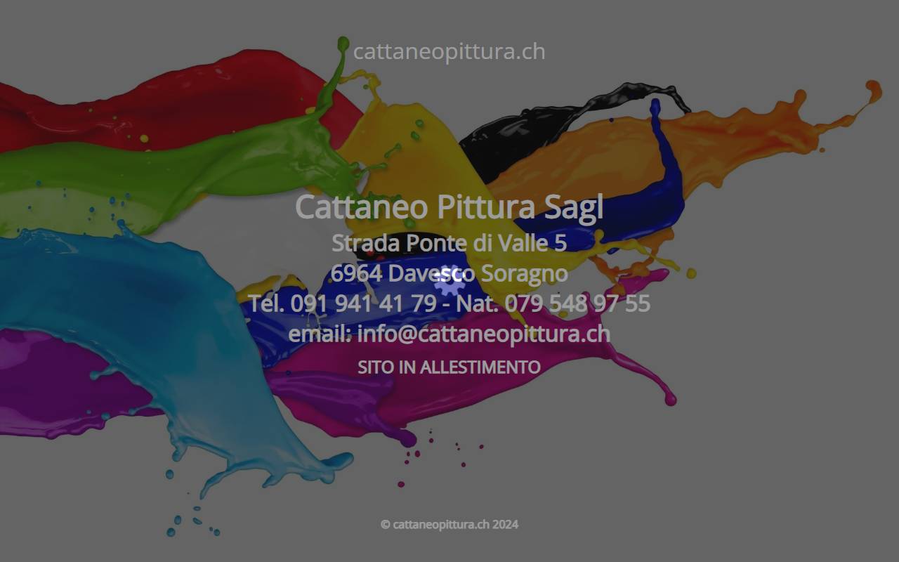Anteprima del sito: Cattaneo Pittura SAGL