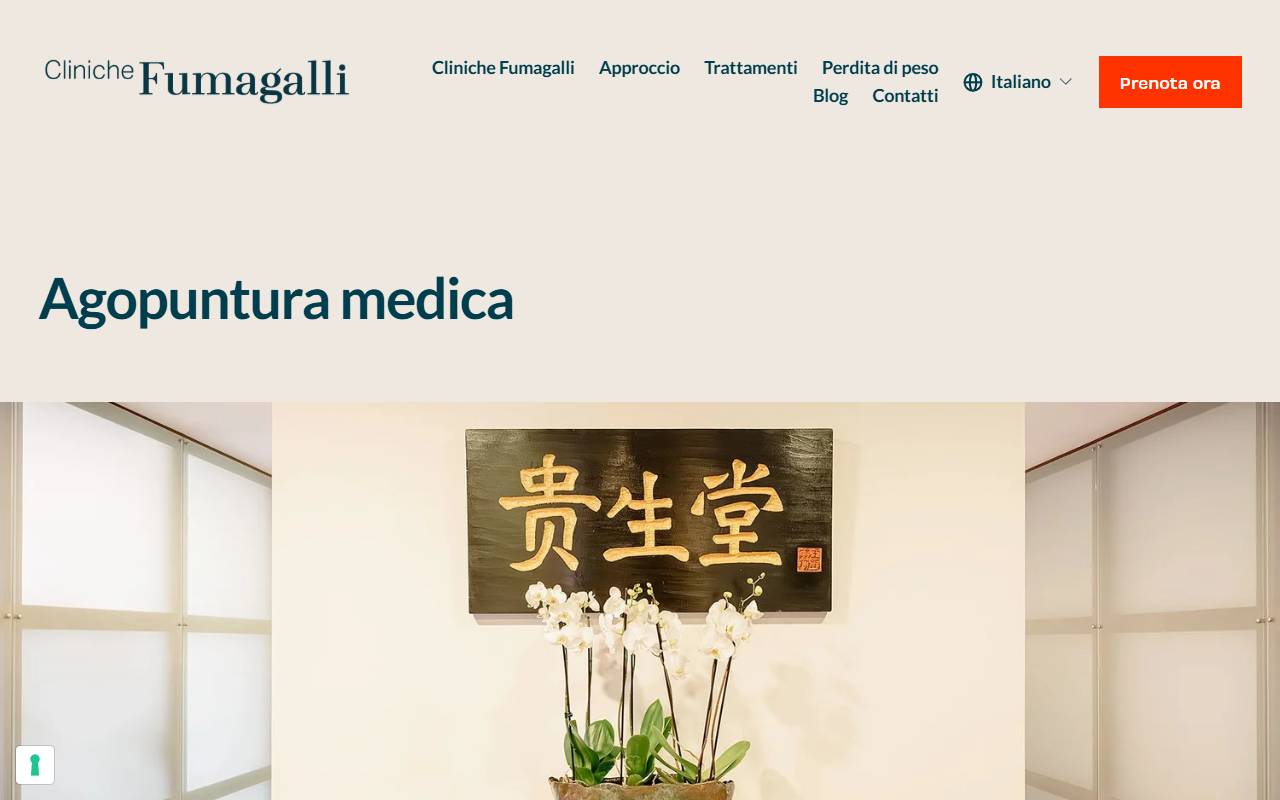 Anteprima del sito: Cliniche Fumagalli SA