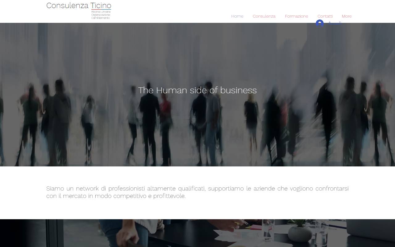 Anteprima del sito: Consulenza Ticino Sagl