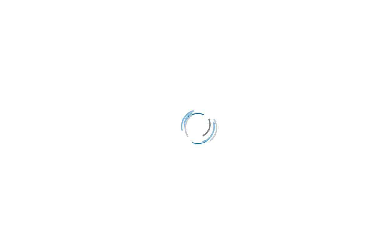 Anteprima del sito: DALESSI ENGINEERING SAGL