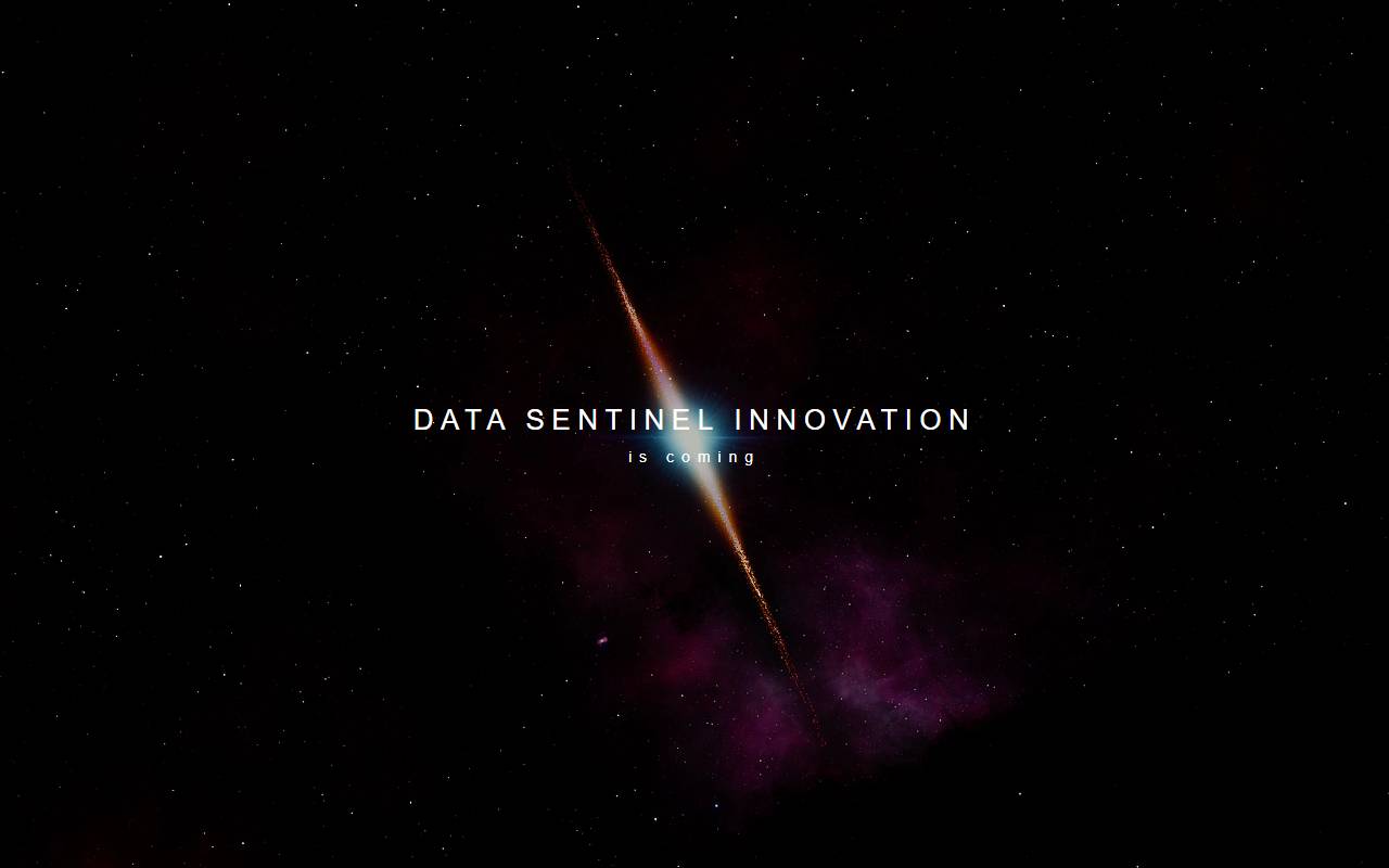 Anteprima del sito: Data Sentinel Innovation Sagl