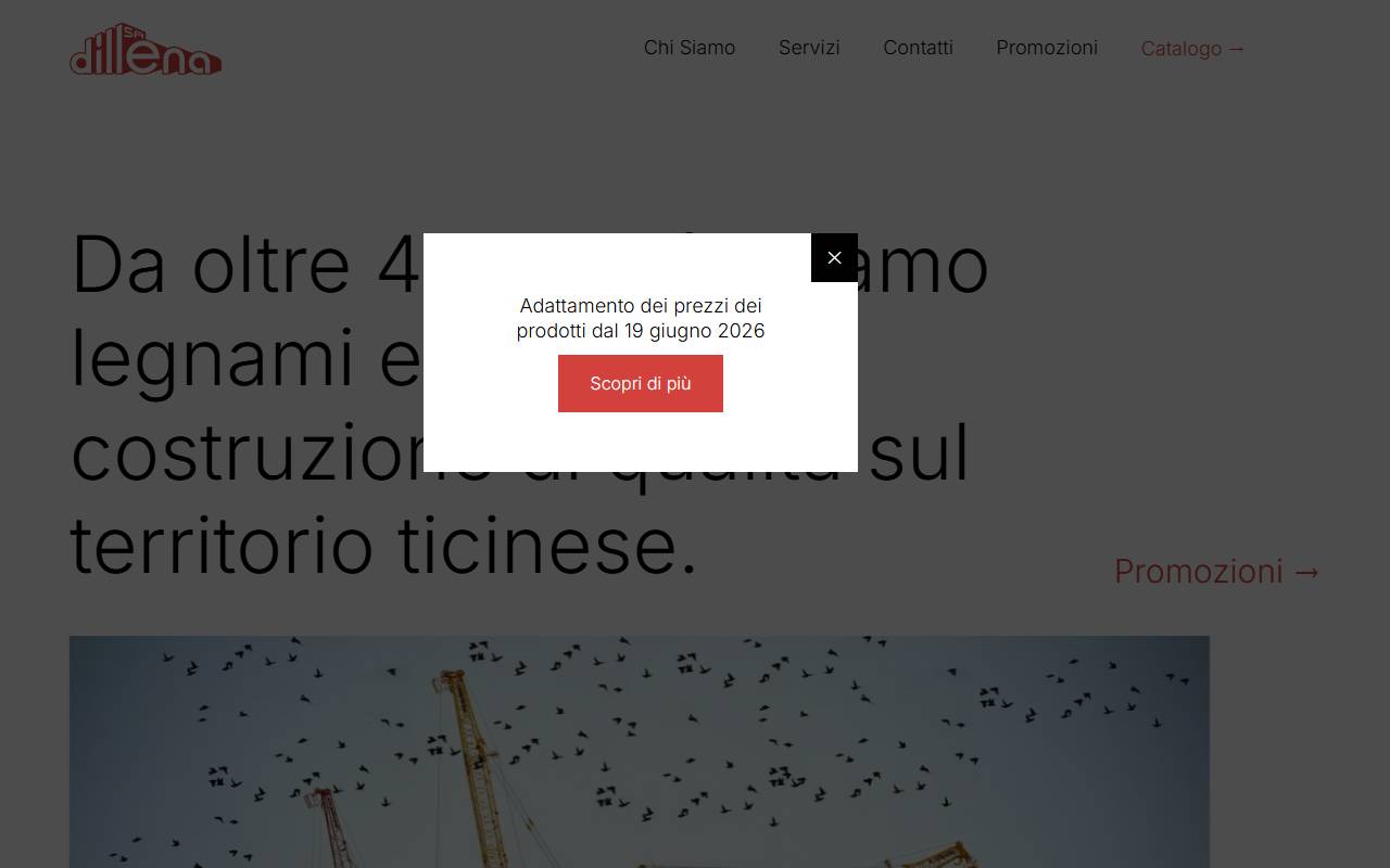 Anteprima del sito: Dillena SA