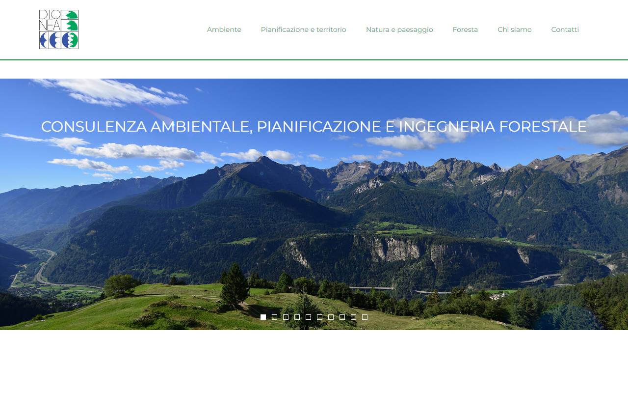 Anteprima del sito: Dionea SA
