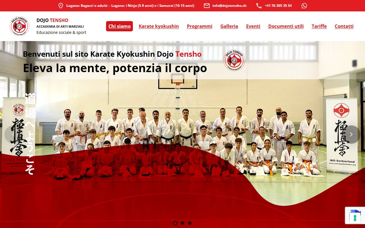 Anteprima del sito: Dojo Tensho Amirzade