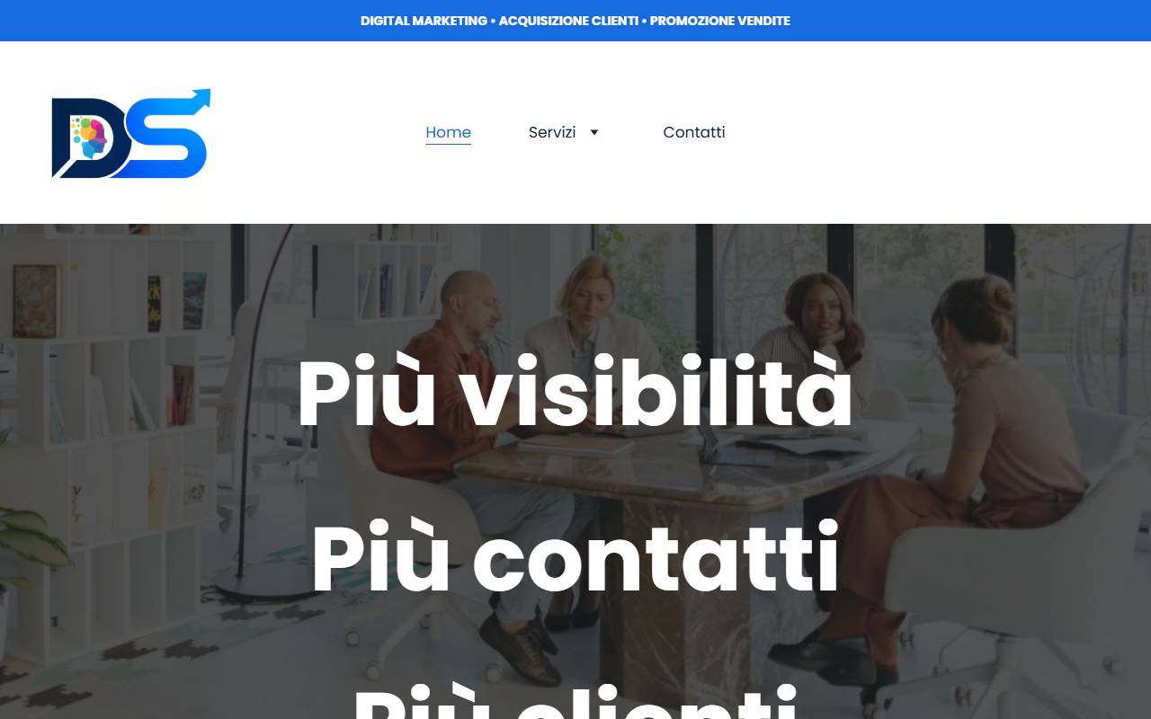Anteprima del sito: DS MultiServices Sagl