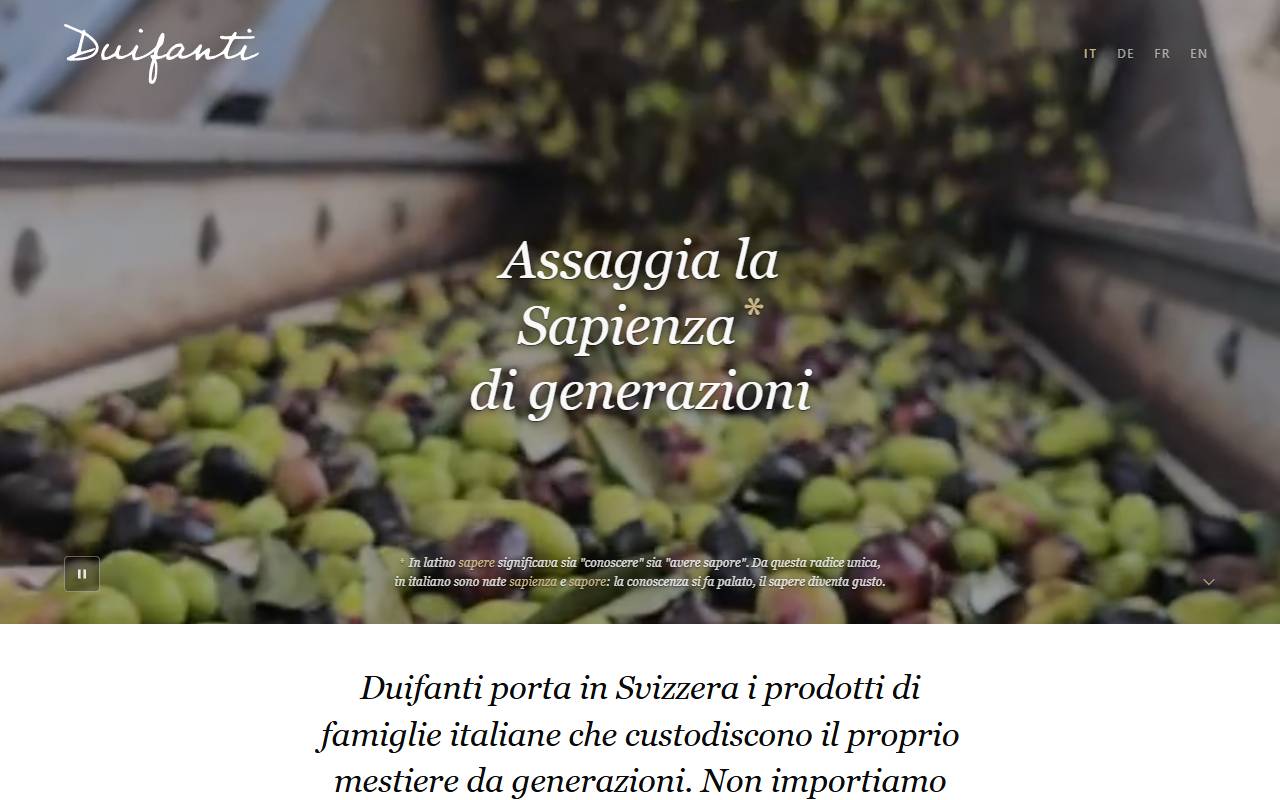 Anteprima del sito: Duifanti Sagl