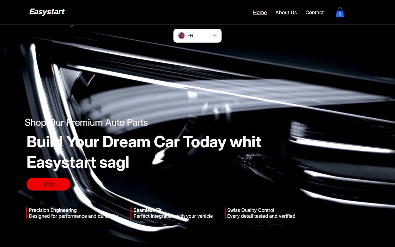 Anteprima del sito: Easy Start Sagl