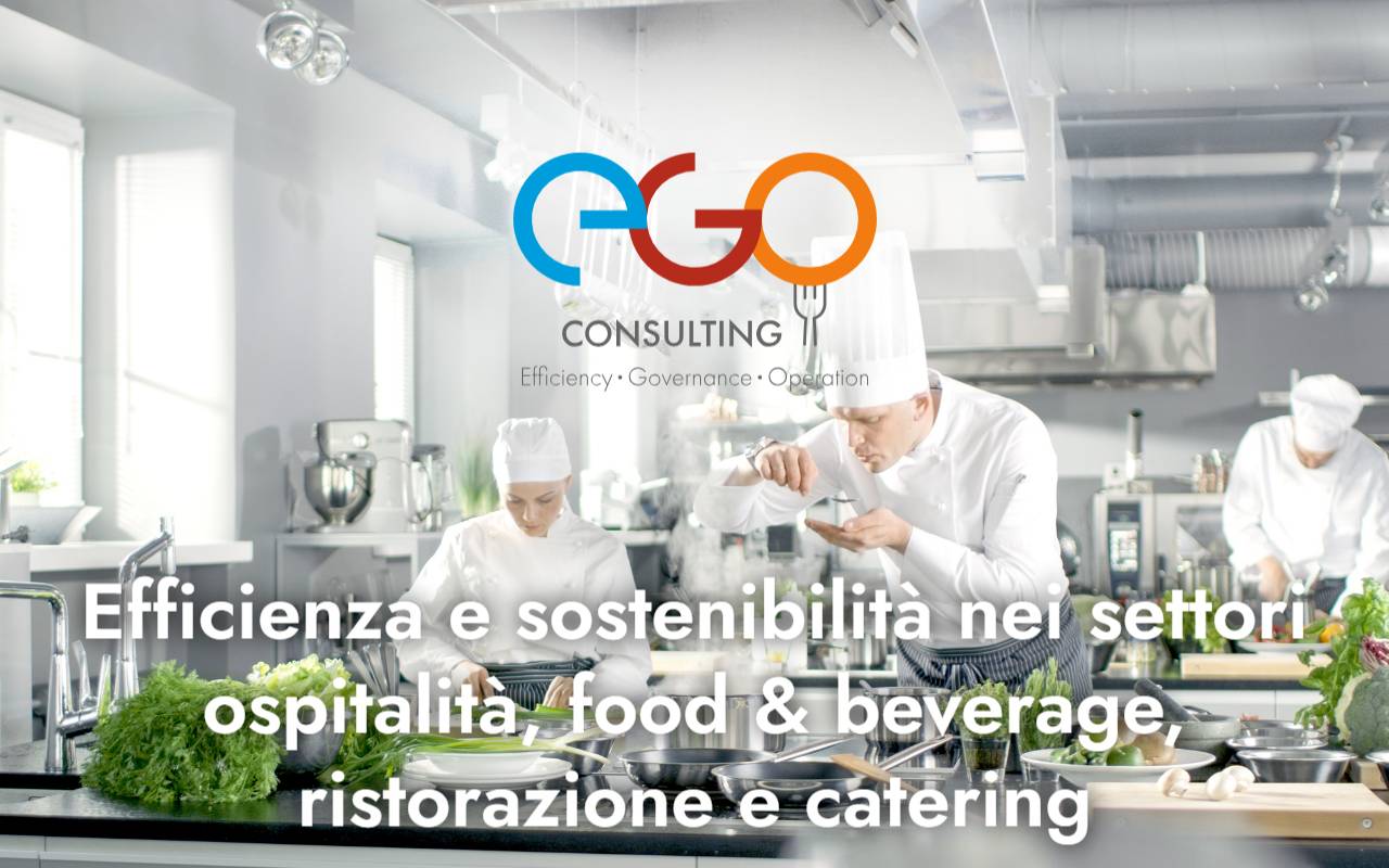 Anteprima del sito: ego consulting sagl