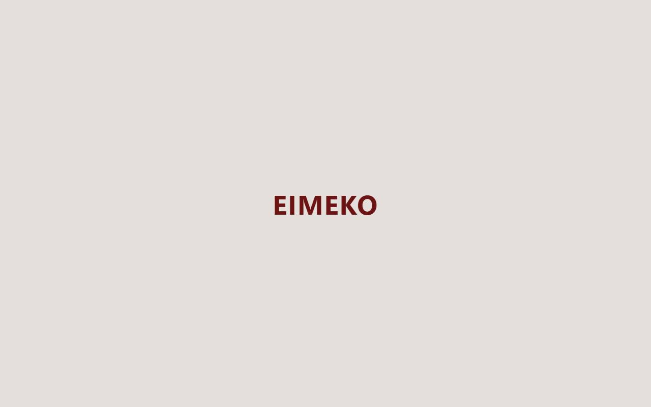 Anteprima del sito: EIMEKO sagl