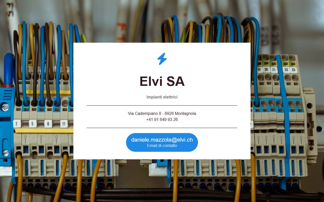 Anteprima del sito: Elvi SA