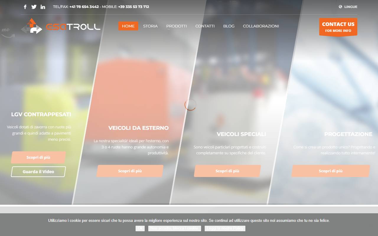 Anteprima del sito: Esatroll SA