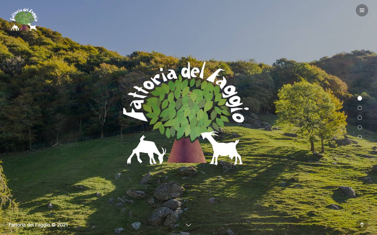 Anteprima del sito: Fattoria del Faggio Rezzonico