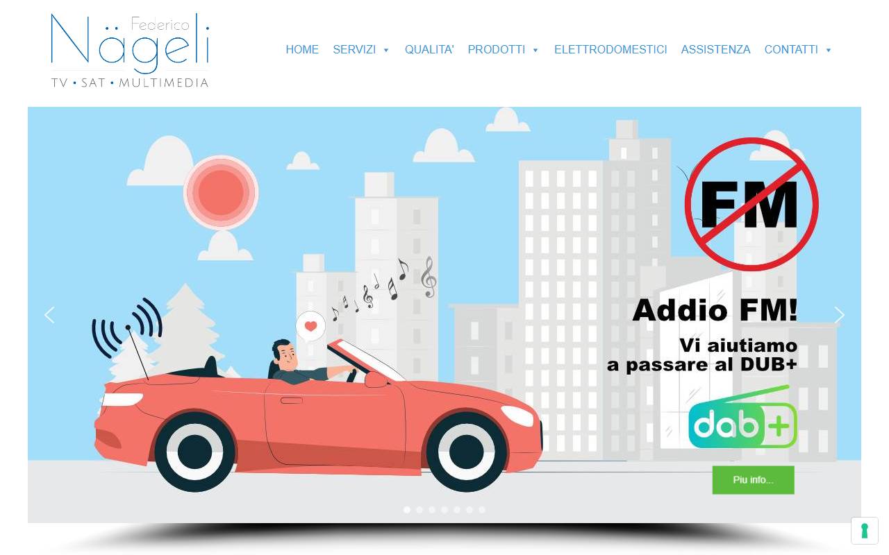 Anteprima del sito: Federico Naegeli TV SAT MULTIMEDIA