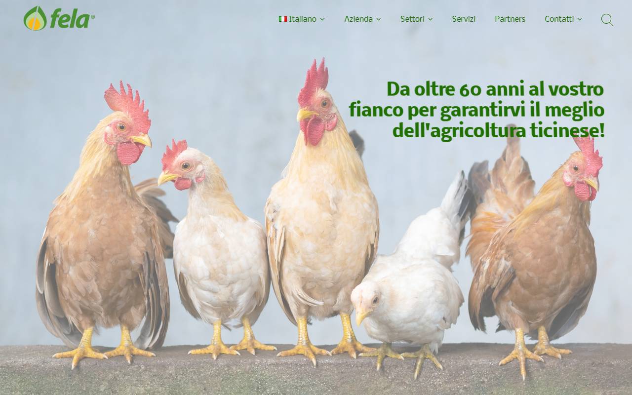 Anteprima del sito: FELA Ticino SA