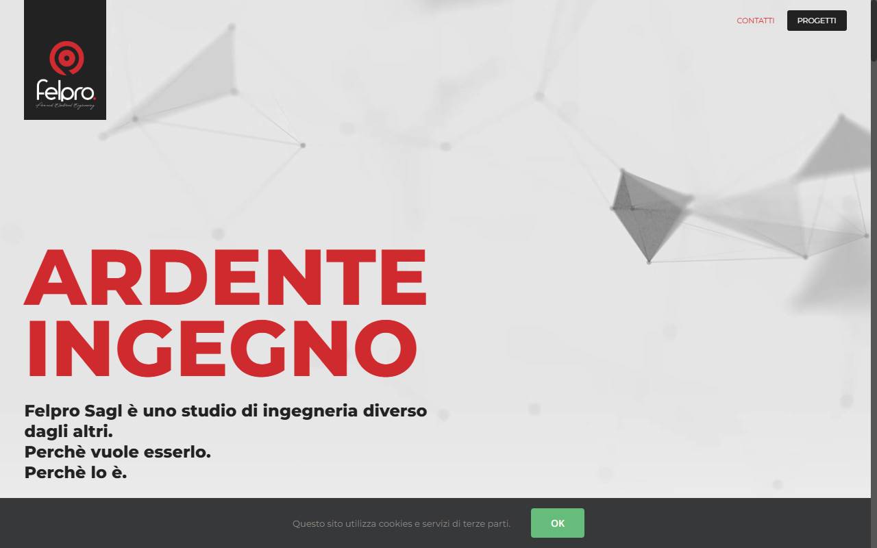 Anteprima del sito: Felpro Sagl