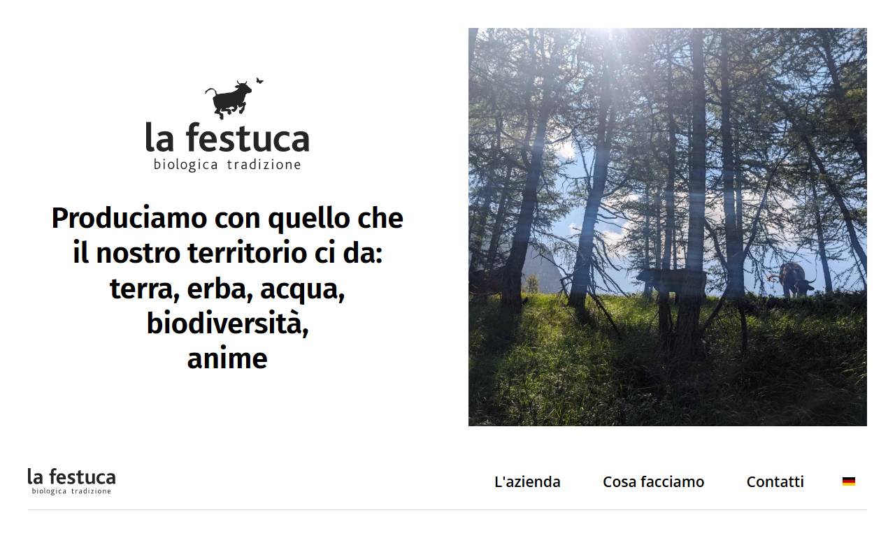 Anteprima del sito: la festuca SA