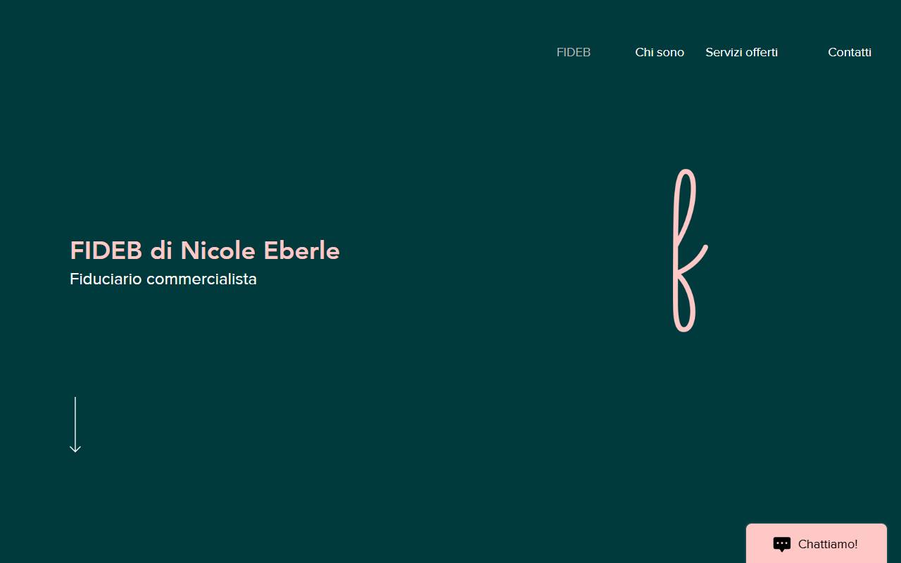 Anteprima del sito: FIDEB di Nicole Eberle