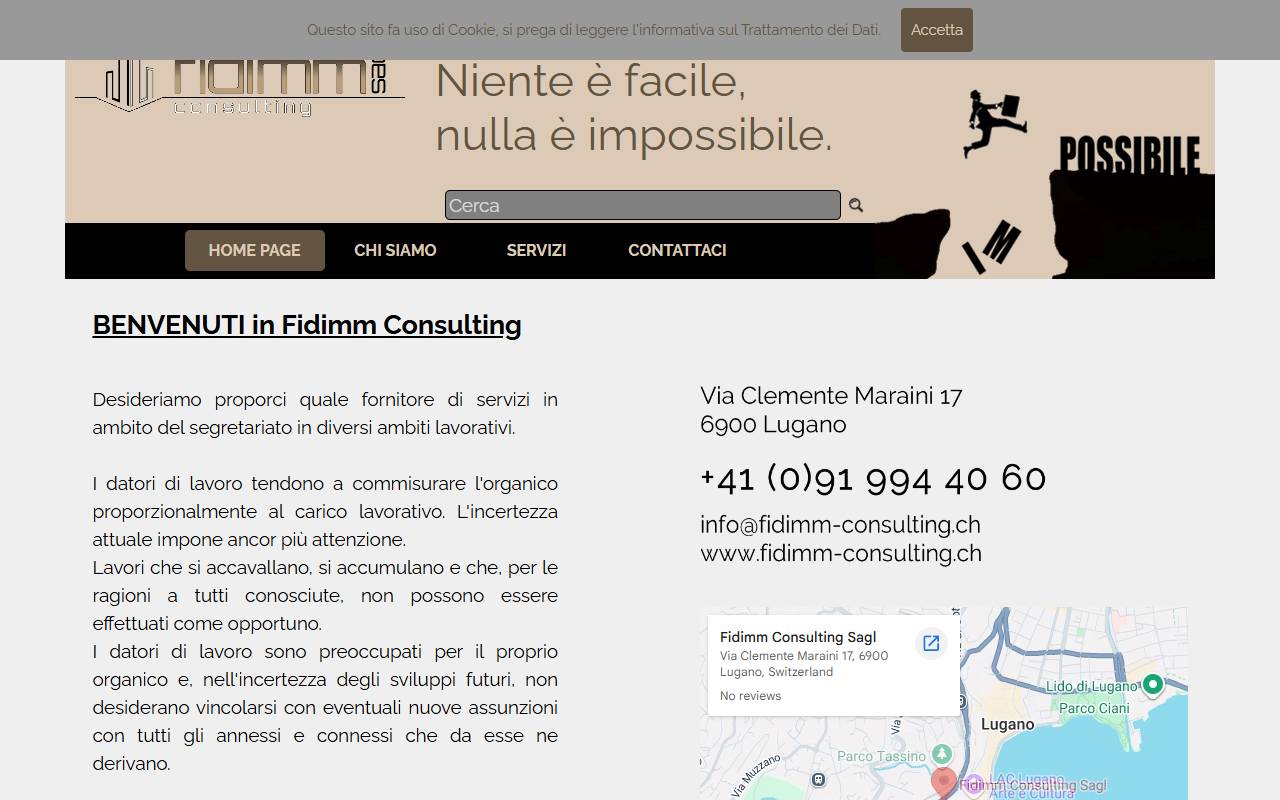 Anteprima del sito: Fidimm Consulting Sagl