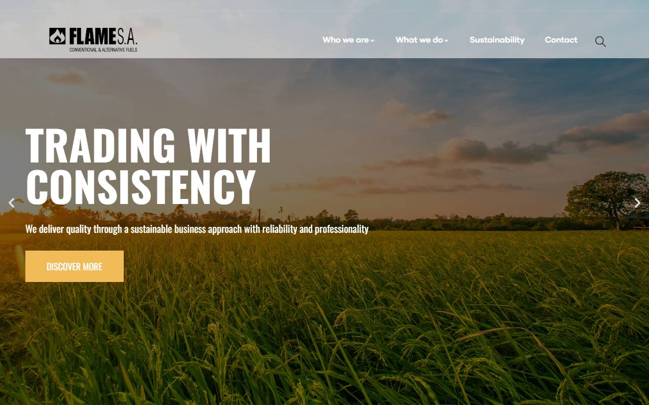 Anteprima del sito: FLAME SA