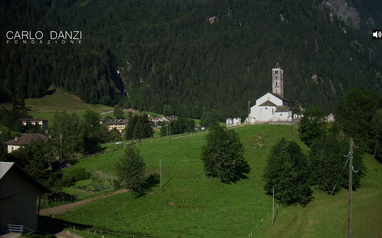 Anteprima del sito: Fondazione Carlo Danzi