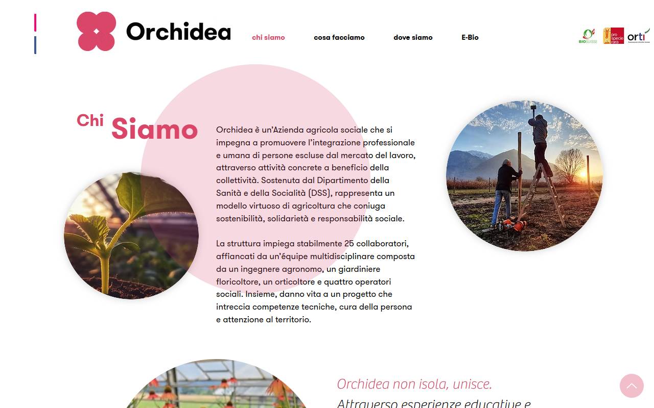 Anteprima del sito: Fondazione Orchidea