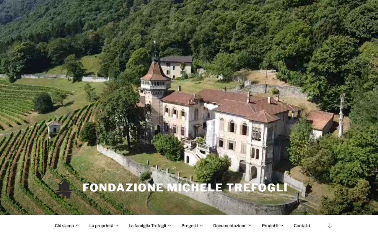 Anteprima del sito: Fondazione Michele Trefogli