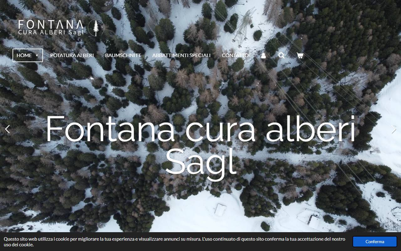Anteprima del sito: Fontana cura alberi Sagl