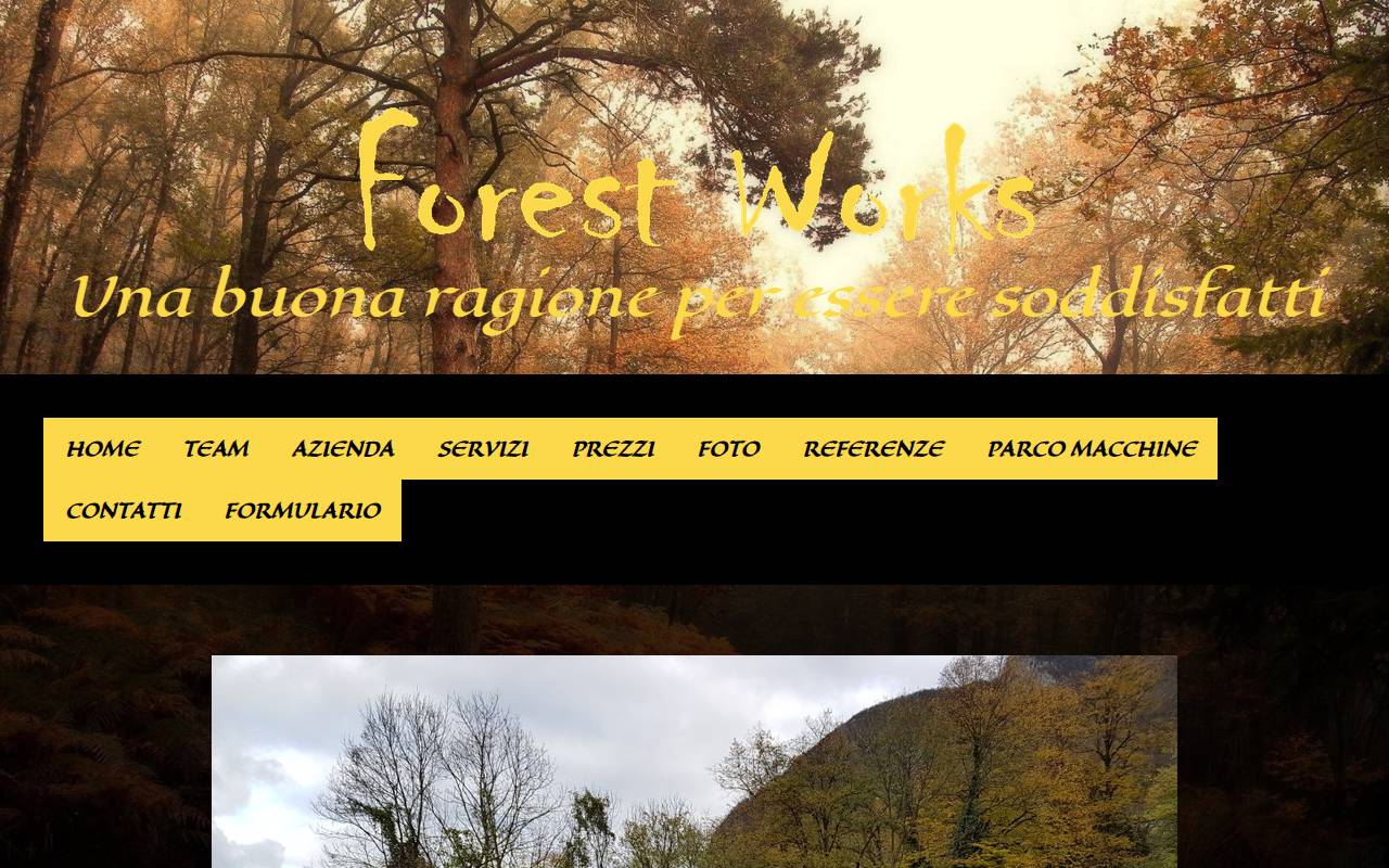 Anteprima del sito: Forest Works Leoni Sagl