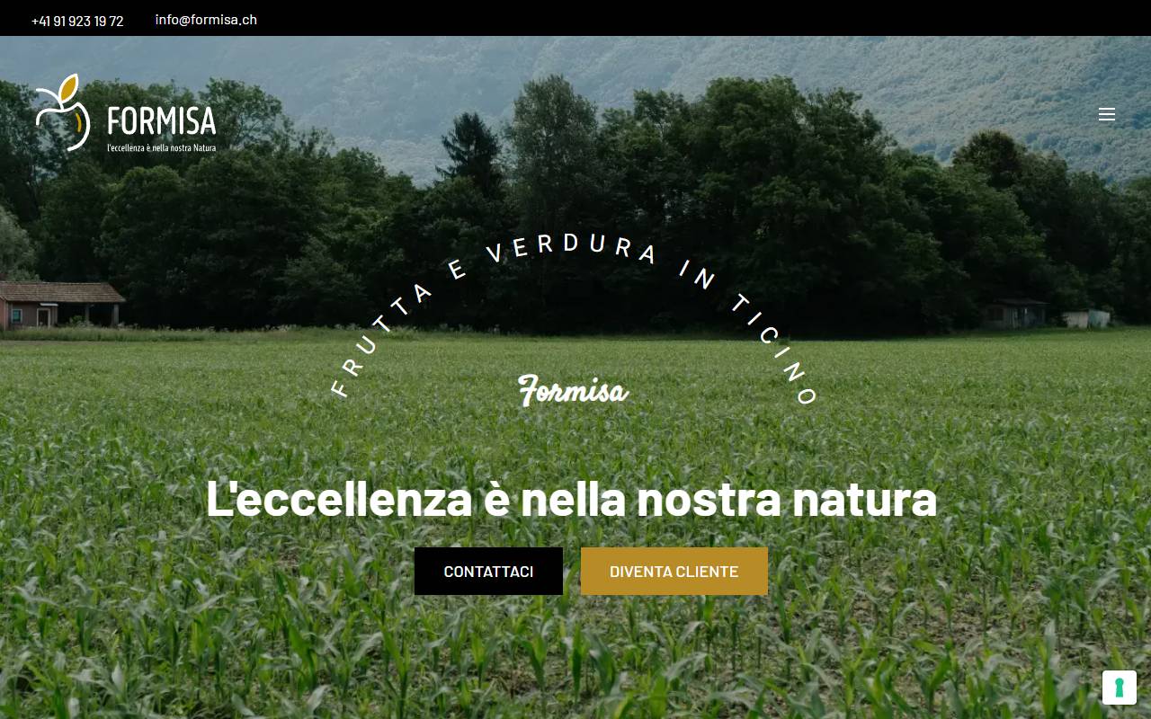 Anteprima del sito: Formisa SA