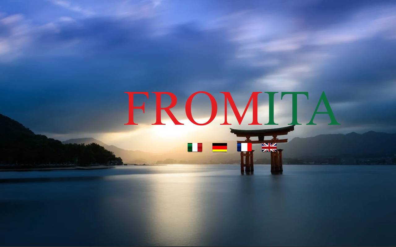 Anteprima del sito: FROMITA SA