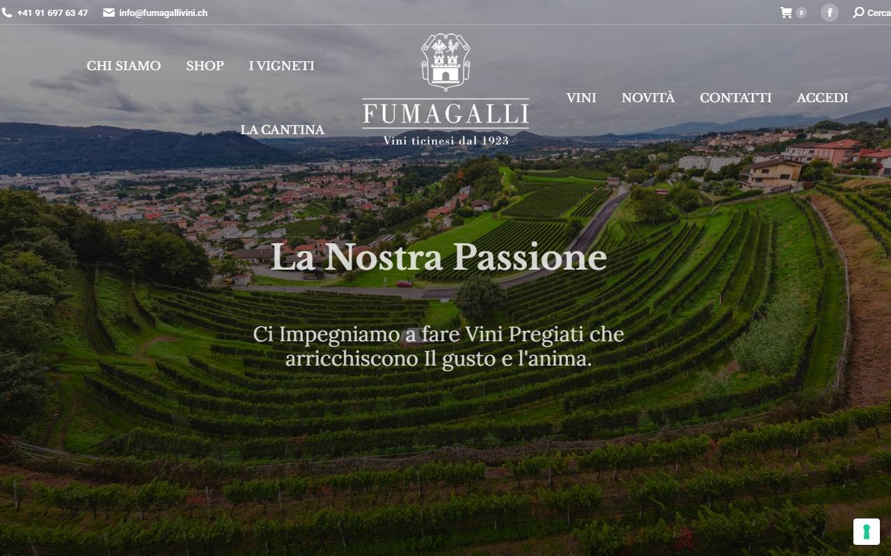 Anteprima del sito: FUMAGALLI SA