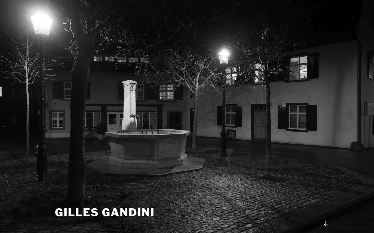 Anteprima del sito: Gandini e figlio