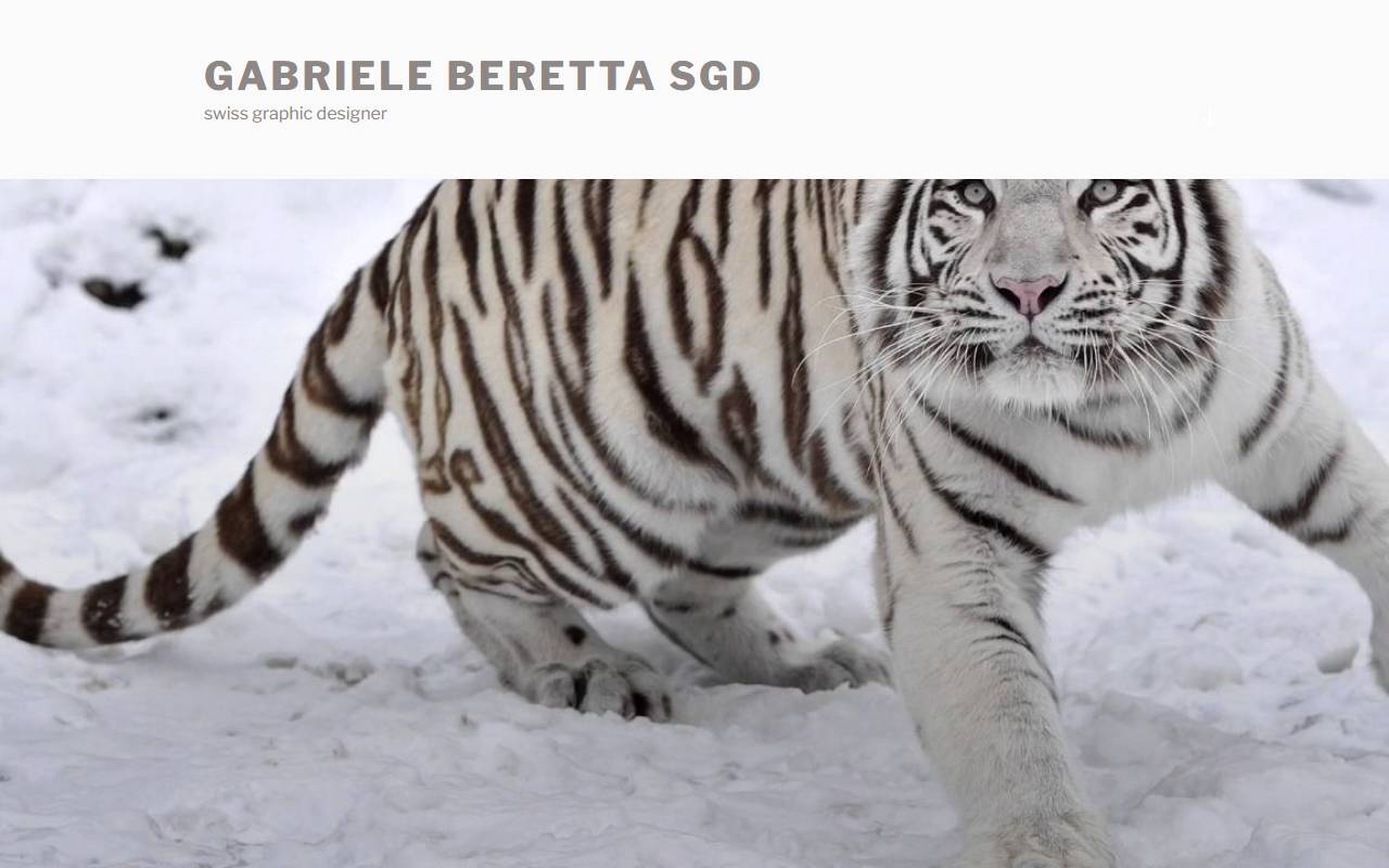 Anteprima del sito: gabriele beretta SGD