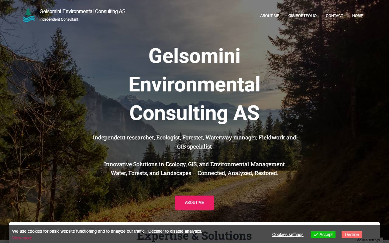 Anteprima del sito: GELSOMINI Sagl