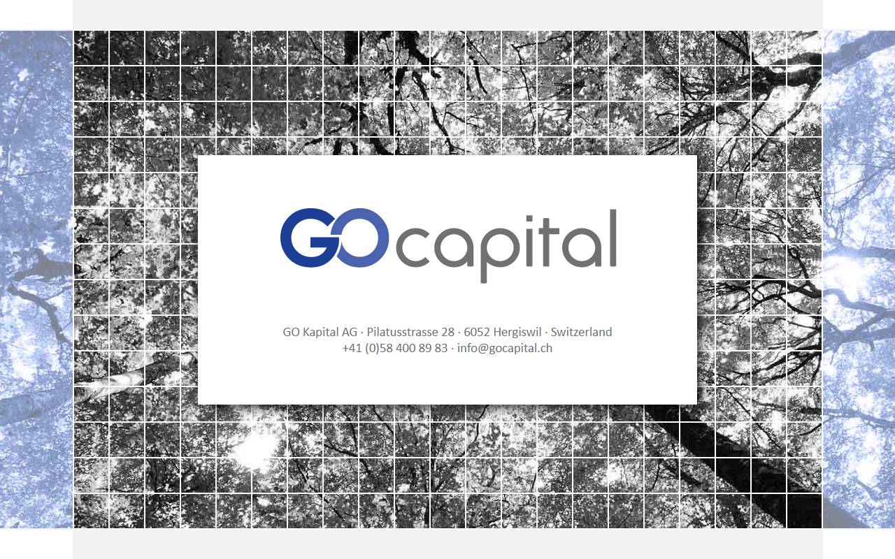 Anteprima del sito: GO Capital SA