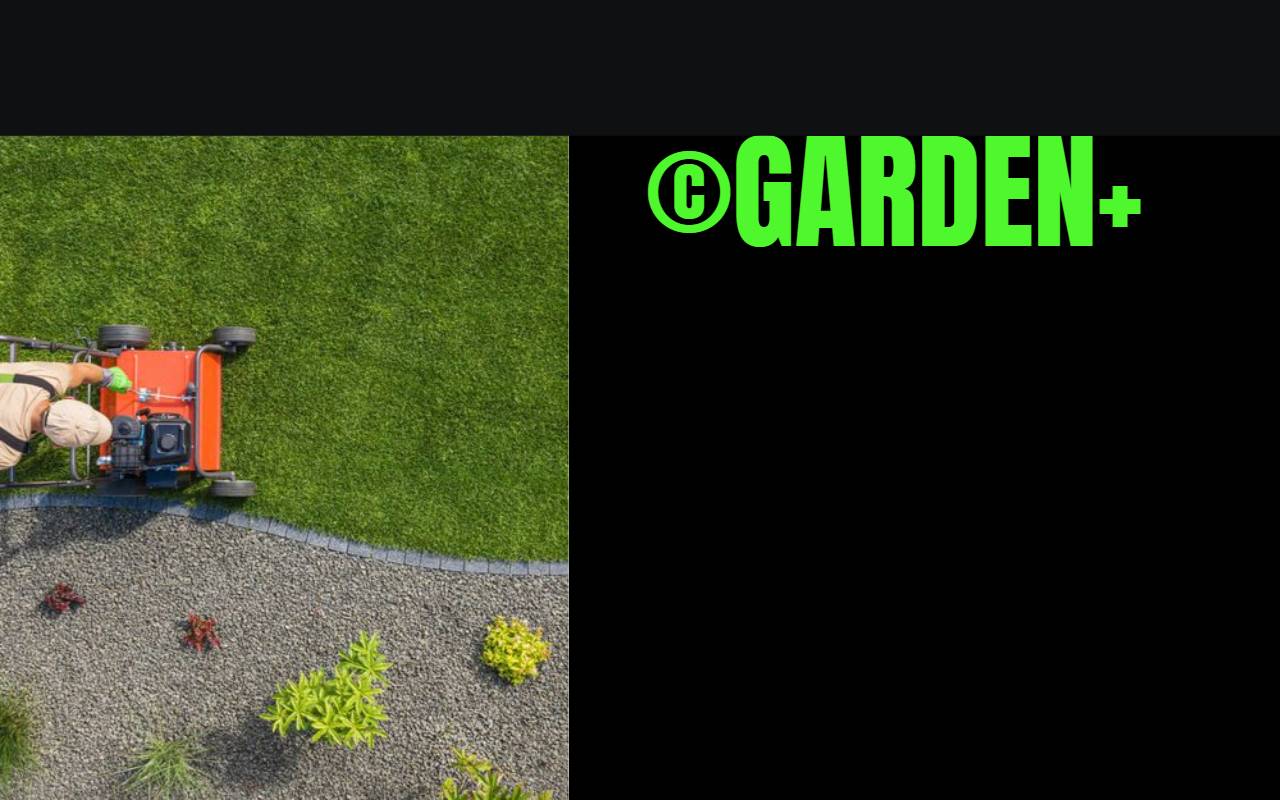 Anteprima del sito: GV Garden Plus Sagl