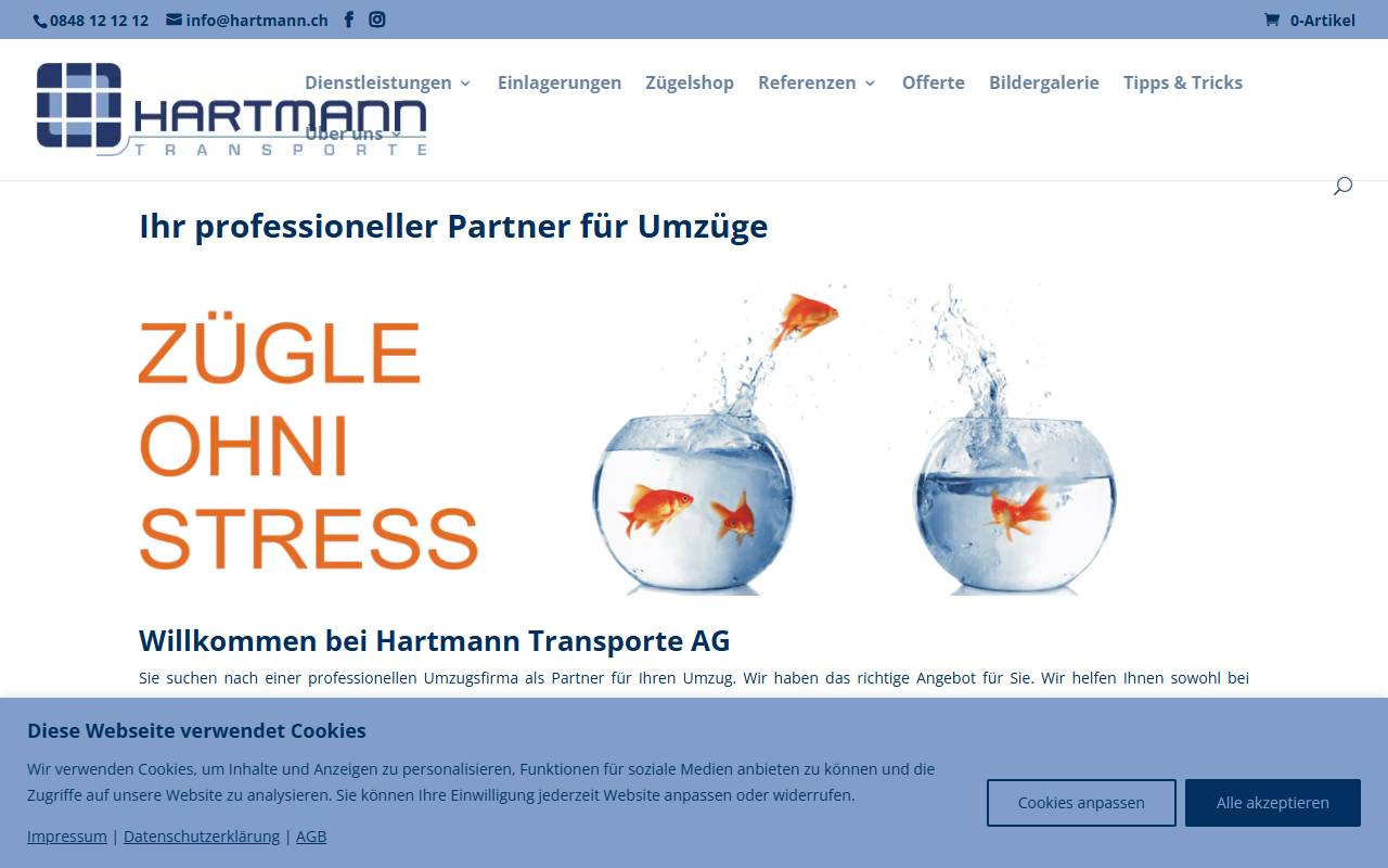 Anteprima del sito: Hartmann House Group Sagl
