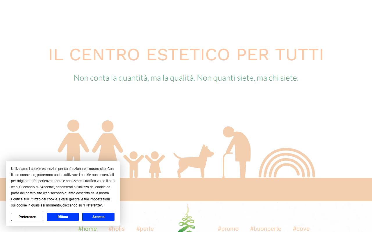 Anteprima del sito: Holis Sagl