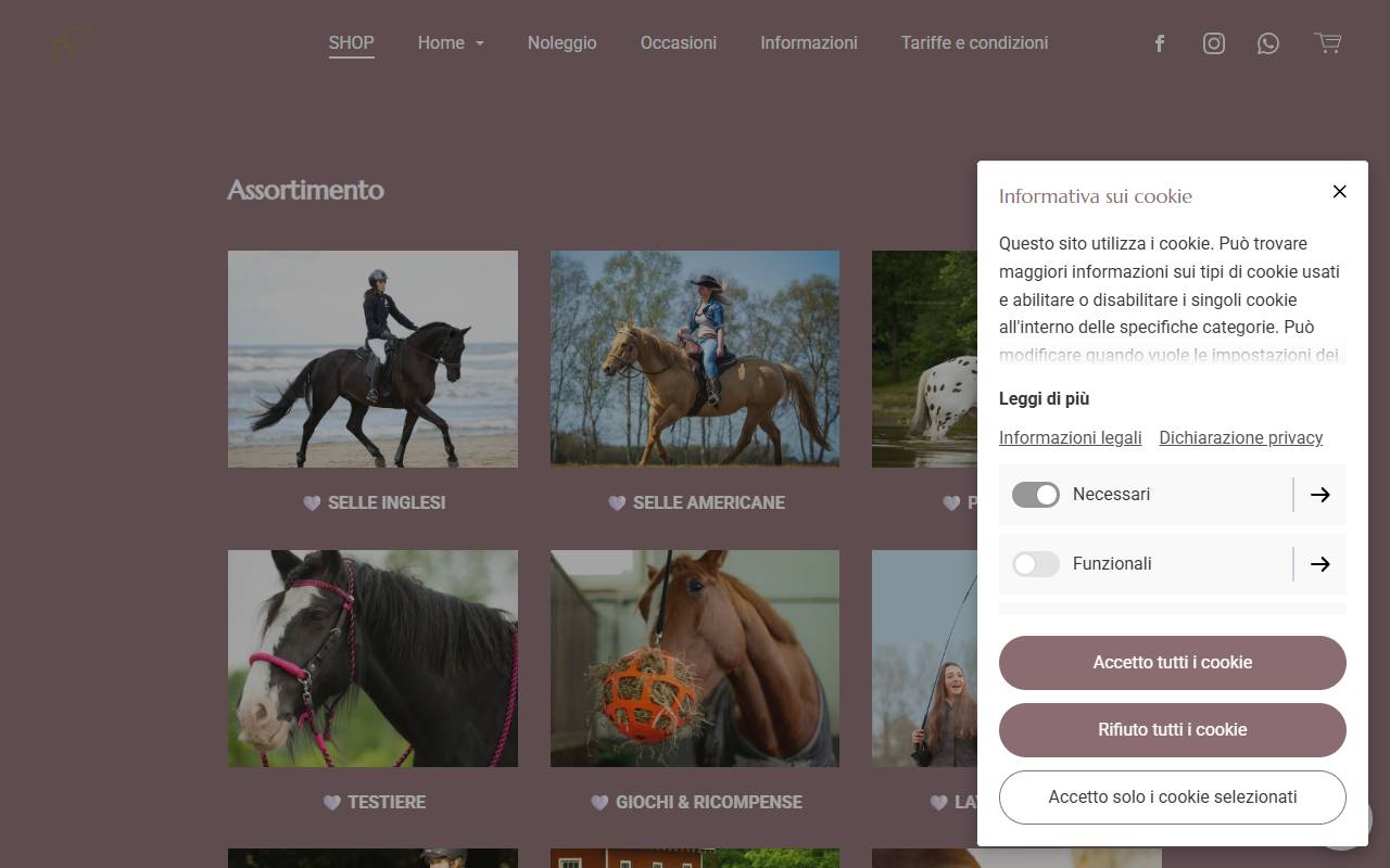 Anteprima del sito: HorseSense di Marina Strickler