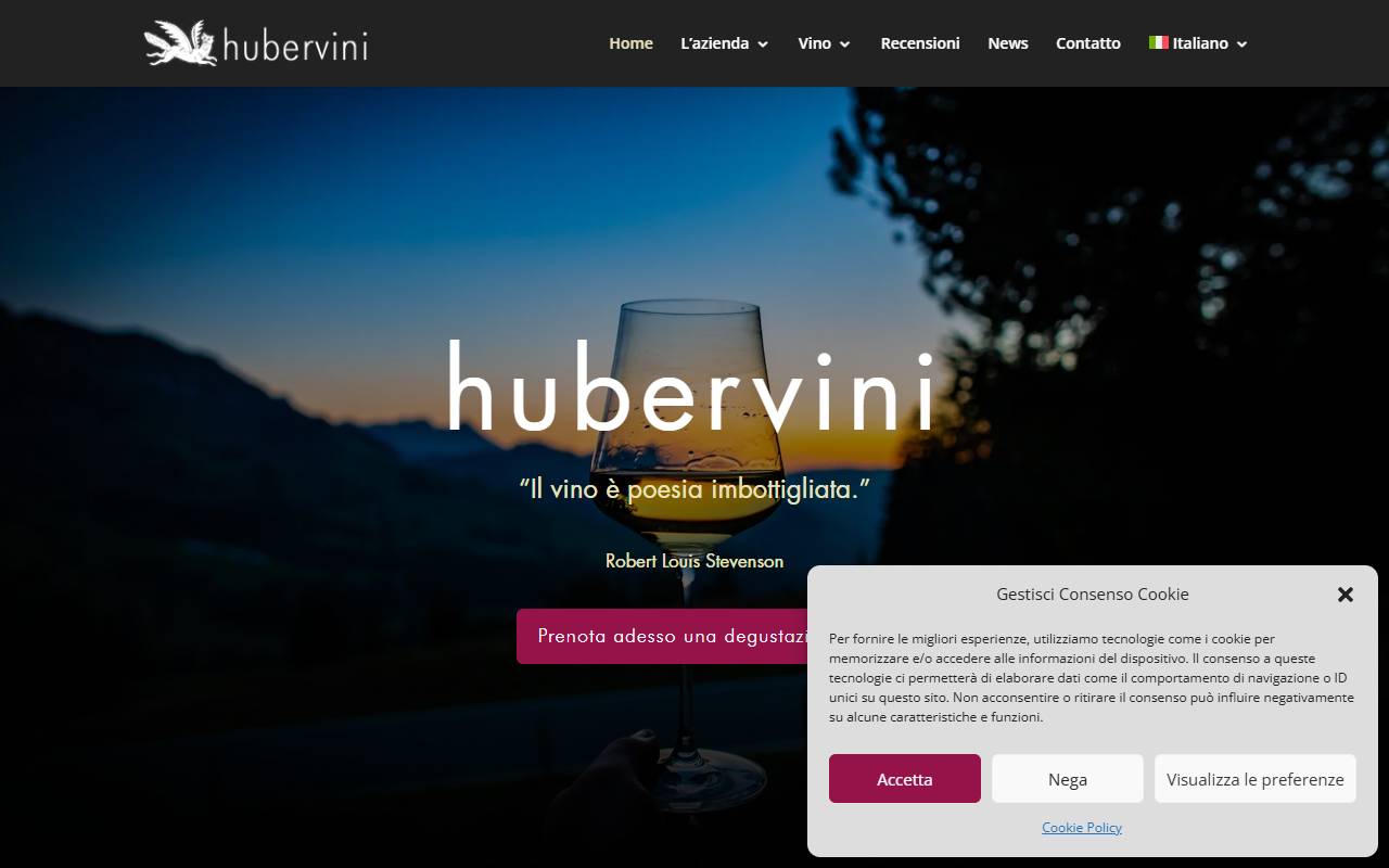Anteprima del sito: hubervini SA