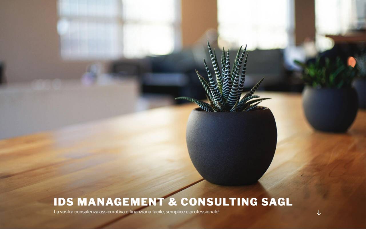 Anteprima del sito: IDS Management & Consulting Sagl
