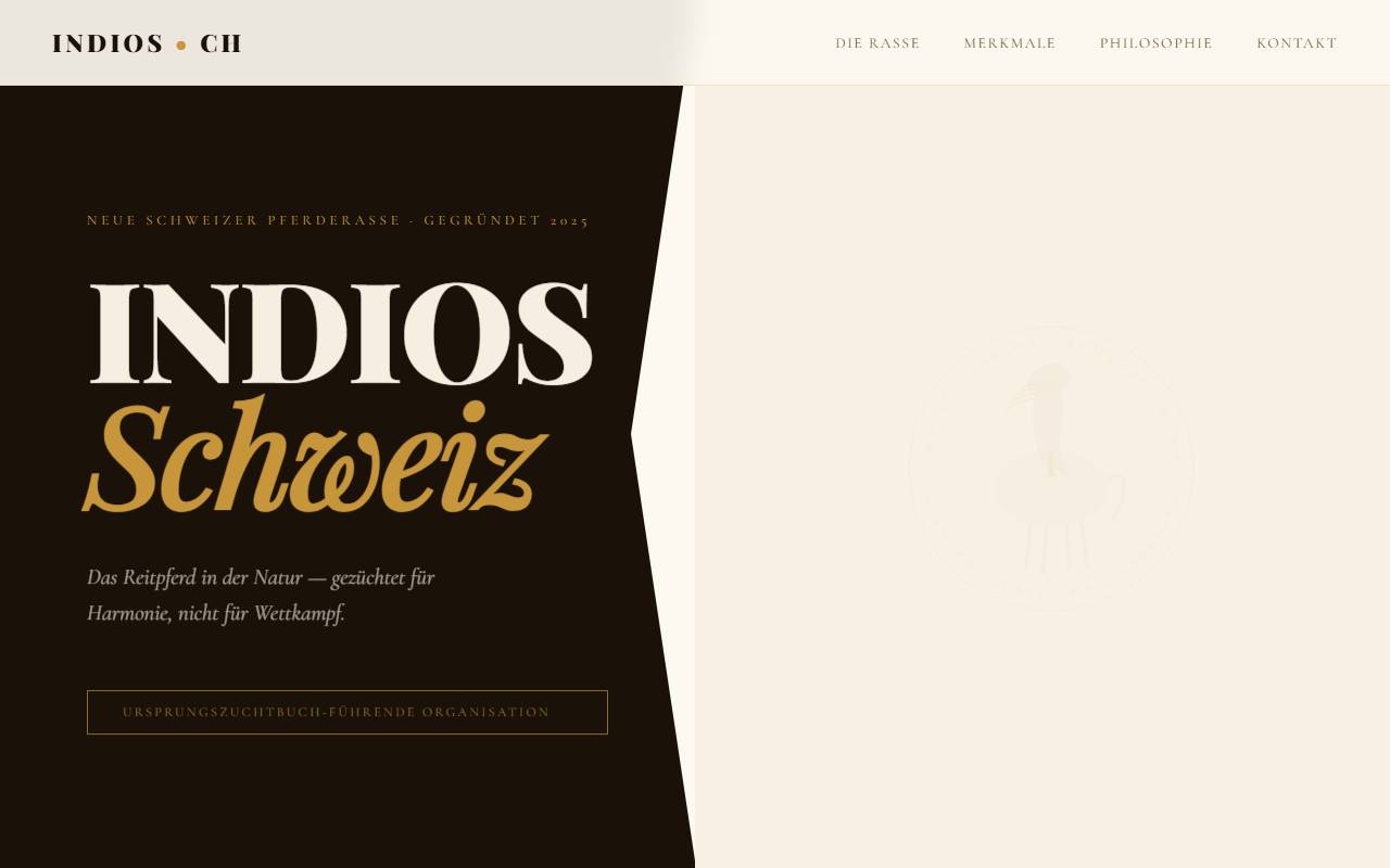 Anteprima del sito: Indios Sagl