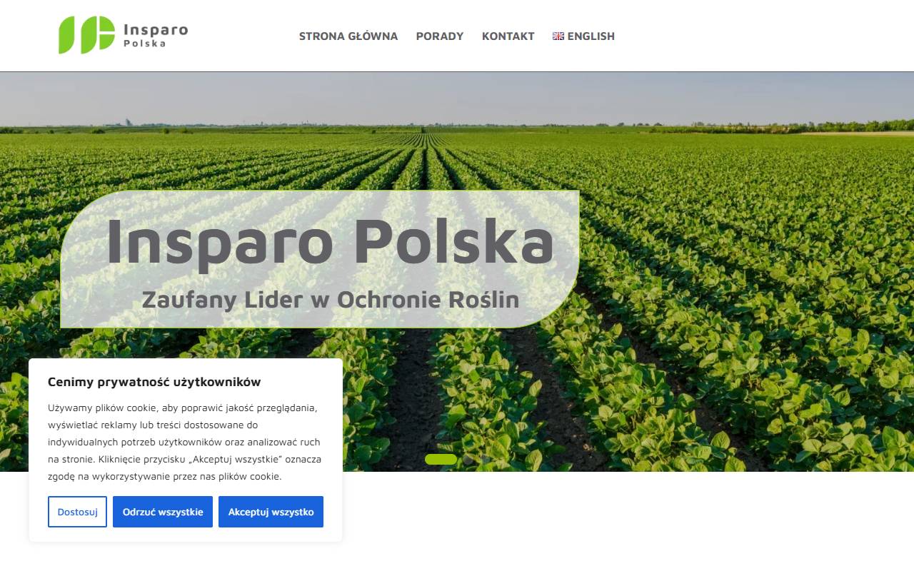Anteprima del sito: Insparo SA