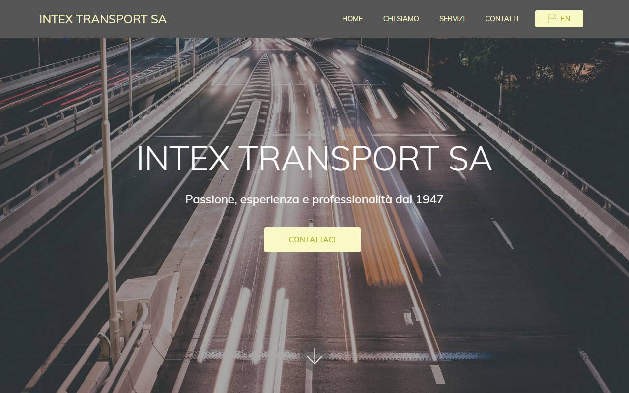 Anteprima del sito: Intex SA