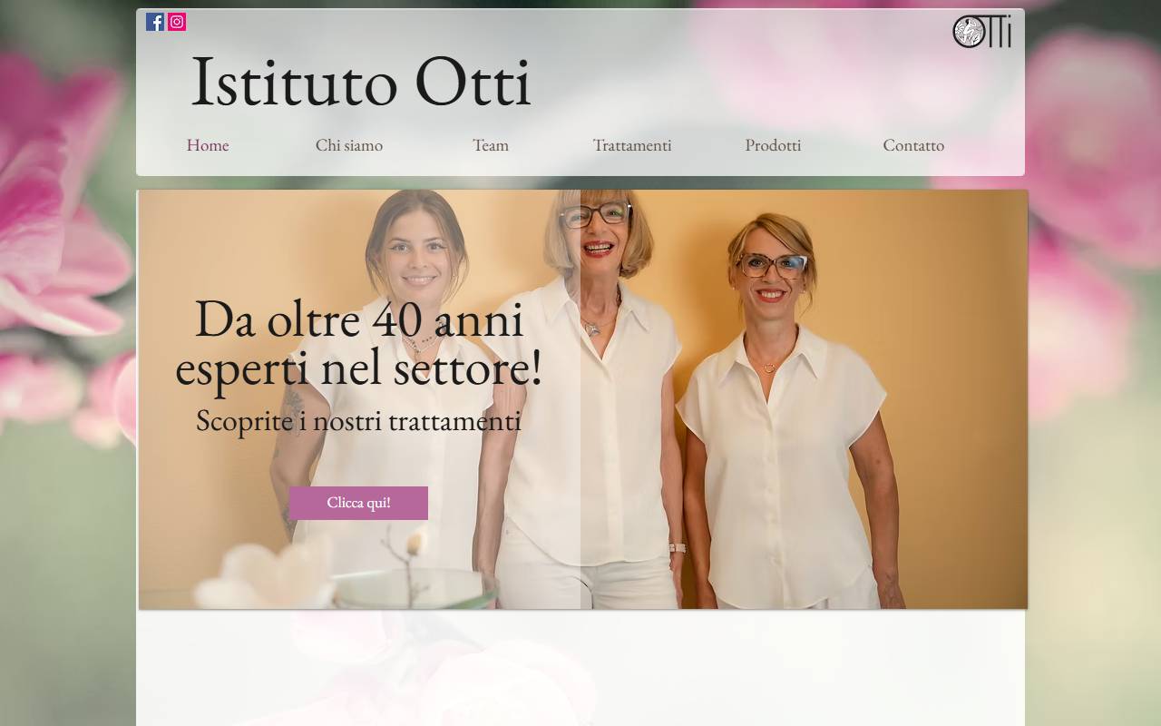 Anteprima del sito: Istituto Otti di Berini