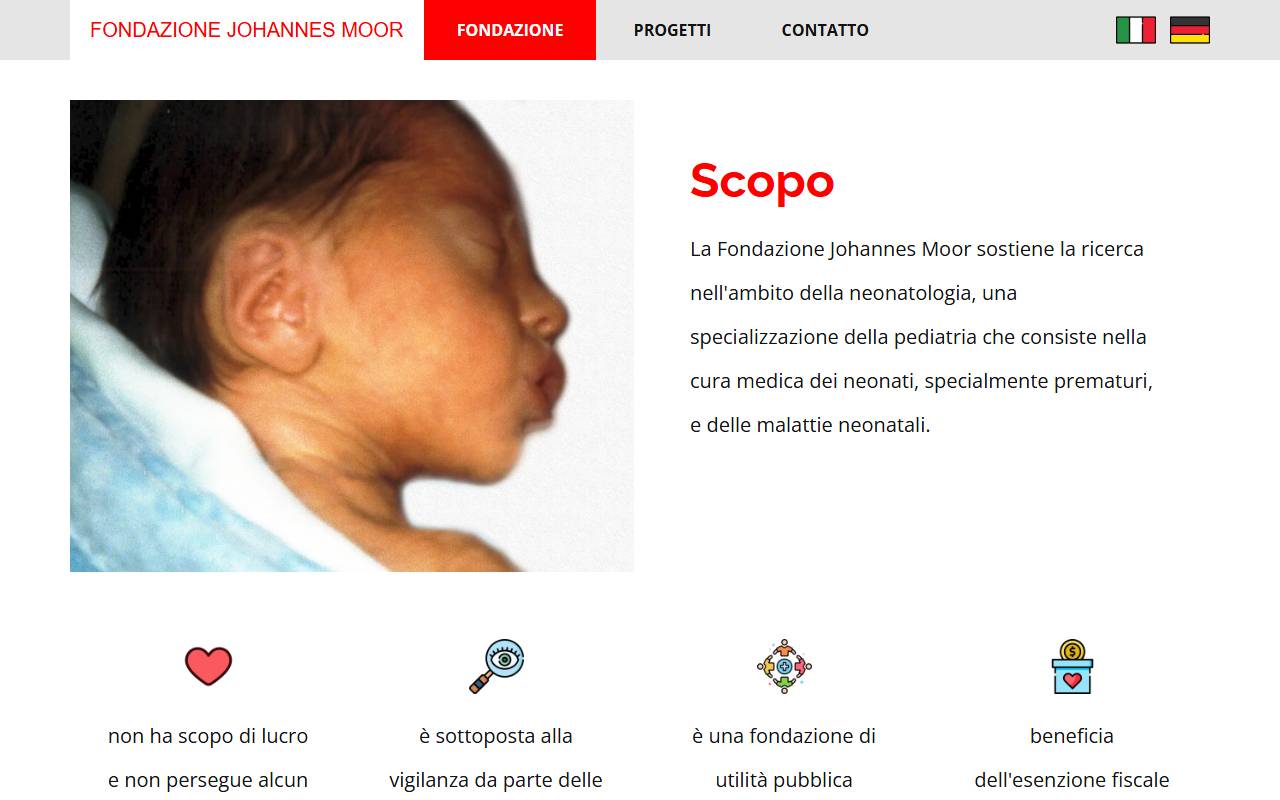 Anteprima del sito: Fondazione Johannes Moor