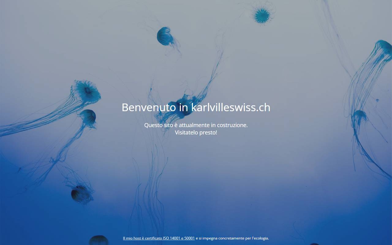 Anteprima del sito: KARLVILLE SWISS SAGL