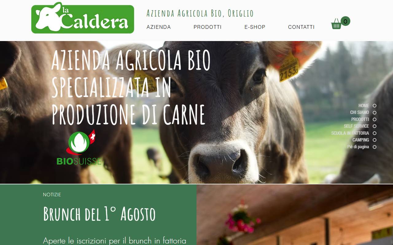 Anteprima del sito: La Caldera Sagl
