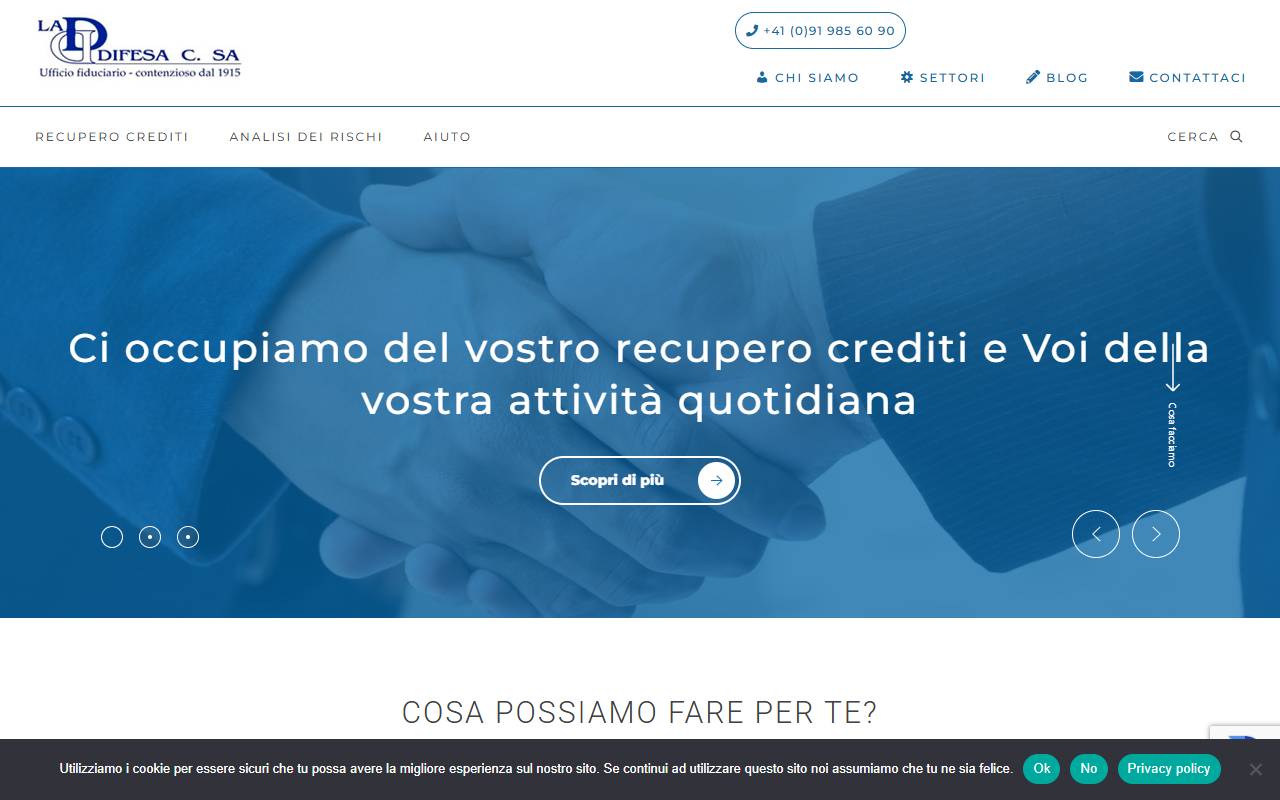 Anteprima del sito: La Difesa C. SA