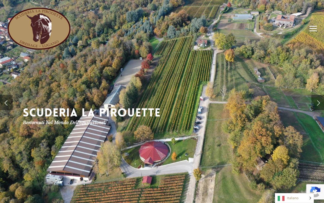 Anteprima del sito: La Pirouette Sagl